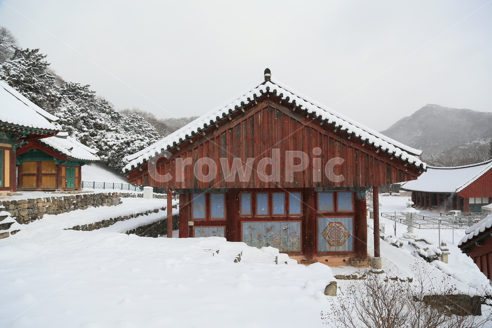 고창,선운사,선운사설경,설경,겨울,겨울,계절,winter,season,한국전통,한국문화,korean traditional,korean culture,종교,신앙,religion,belief,faith,건축물,건물외관,exterior,building,structure,architecture,construction