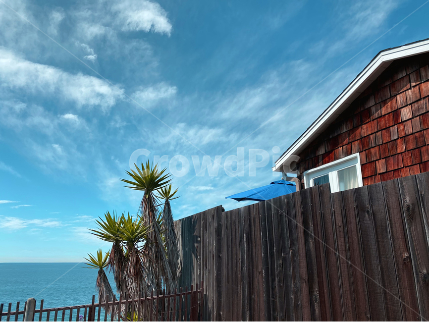 house,야자나무,summer,sky,chill