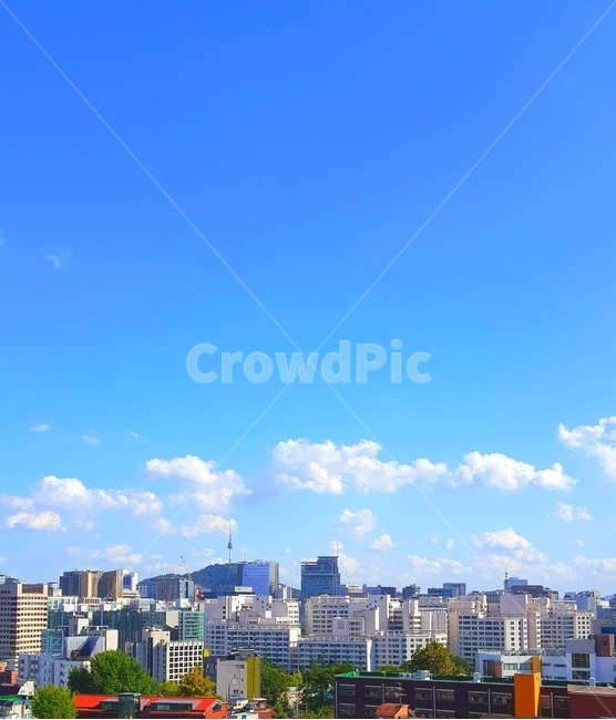 서울,남산,파랑,하늘,종로,도시,풍경,city,landscape,한국도시풍경,한국도시경관,korea cityscape,nature,자연,outdoors,옥외,urban,어반