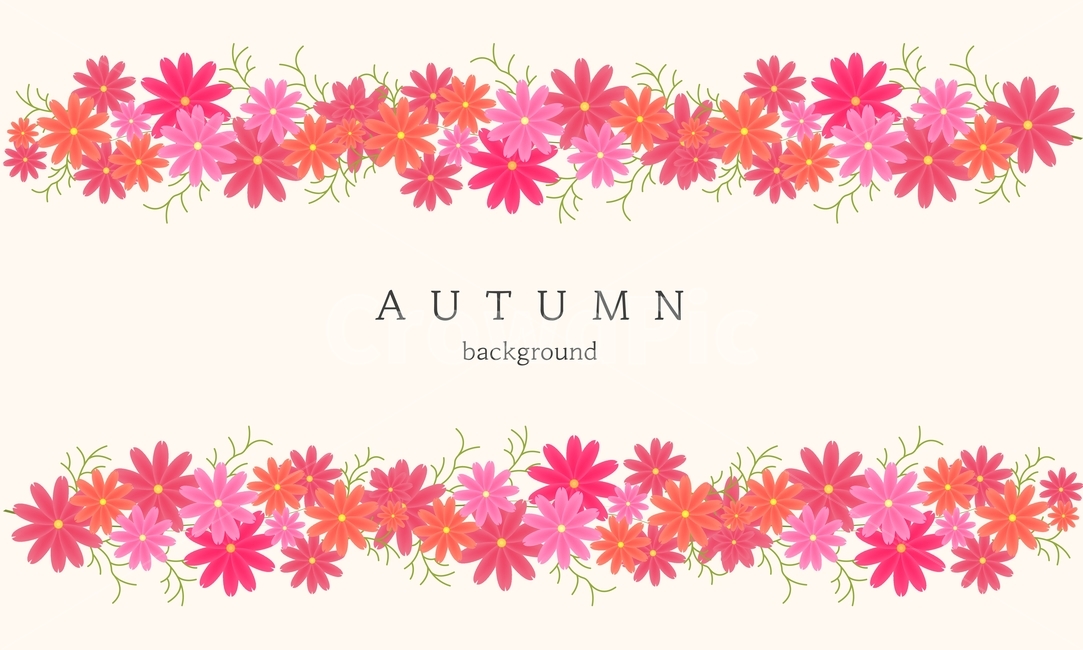 background,autumn,Emotion,Cosmos,flower,frame