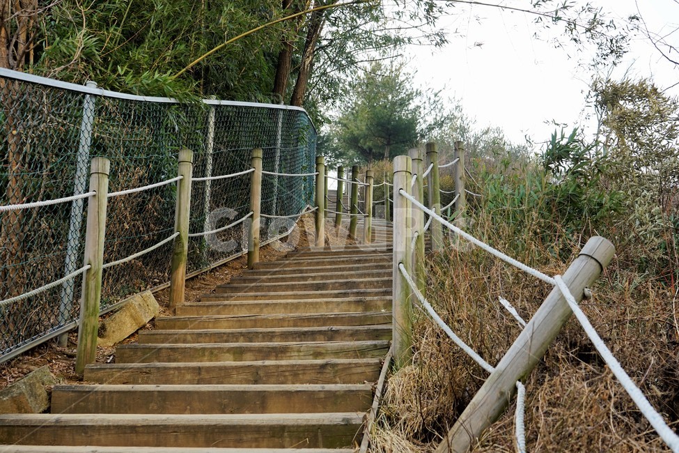 낙옆,겨울,산,길,나무,숲,자연,자연,풍경,nature,landscape,handrail,난간,banister,railing