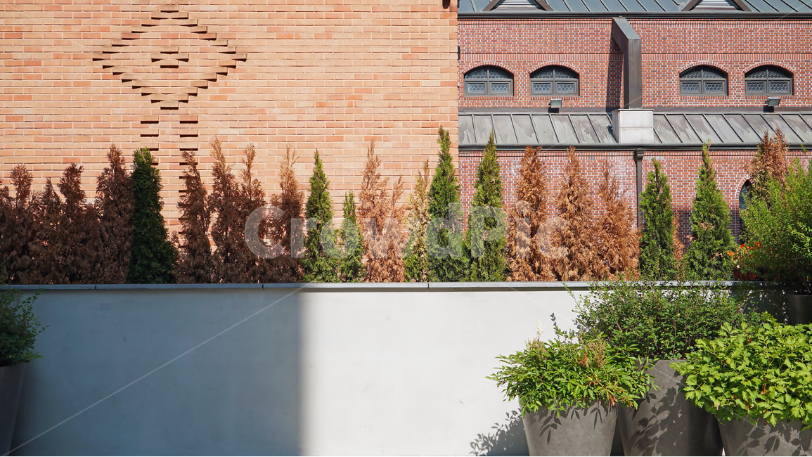 building,architecture,red,brick,wall,wood,plant,concrete,sunshine,벽돌,건물,외벽,벽,화단,나무,콘크리트,건축물,건물외관,exterior,building,structure,architecture,construction,인테리어,실내디자인,interior design