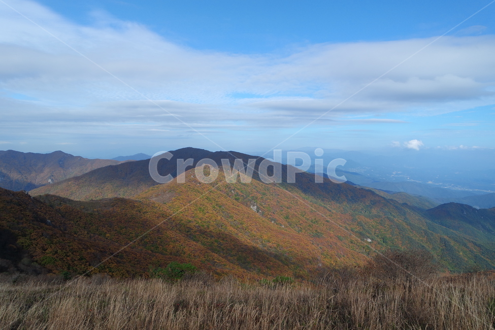 소백산,가을산,산,소백산국립공원,등산,가을,계절,fall,autumn,season,자연,풍경,nature,landscape,한국자연풍경,한국자연경관,korea nature landscape,outdoors,옥외,hill,언덕