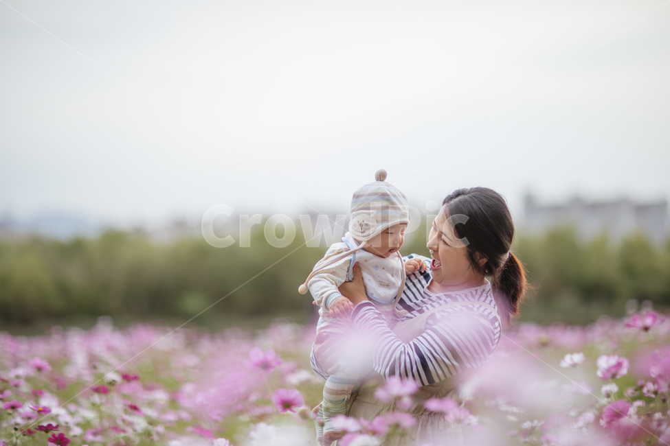 가을,clothing,의류,apparel,의복,코스모스,꽃,사람,아기,여자,cosmos,flower,human,person,baby,woman,사람,인물,인간,human,person,가족,패밀리,family