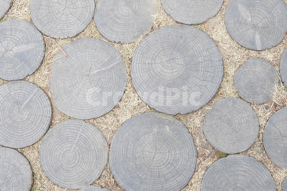 통나무,통나무바닥,바닥,나무길,길,잔디,나무,텍스처,질감,패턴,texture,pattern