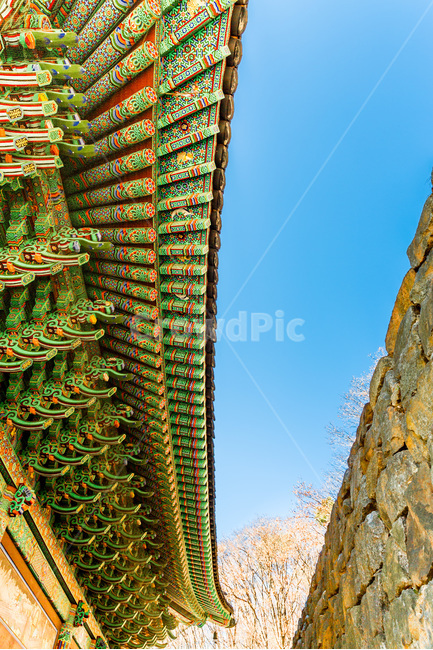 문양,단청,선,면,패턴,전통,처마,한국전통,한국문화,korean traditional,korean culture,건축물,건물외관,exterior,building,structure,architecture,construction