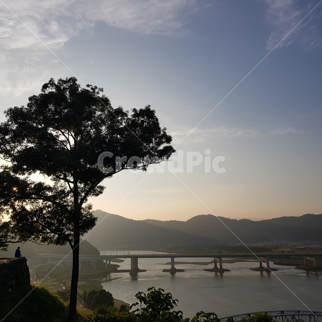 나무,노을지는하늘,검은나무,맑은하늘,붉은하늘,자연,풍경,nature,landscape,outdoors,옥외