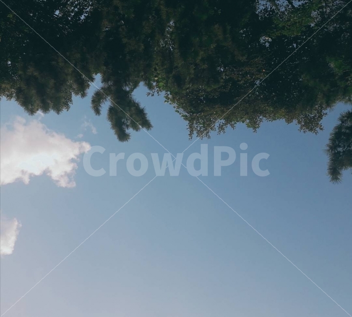 하늘,구름,가을,풍경,자연,색감,감성,필터,뭉게구름,자연,풍경,nature,landscape,tree,나무,plant,식물,vegetation,초목
