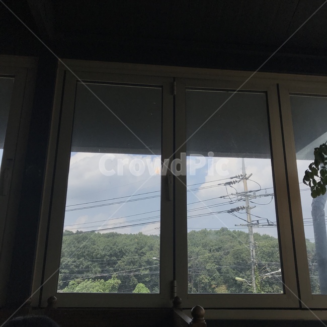 하늘,감성,자연,나무,풍경