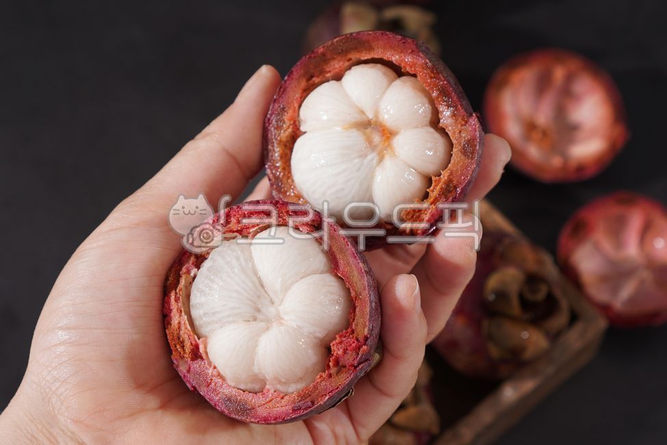 망고스틴,fruit,과일,열대과일,생망고스틴