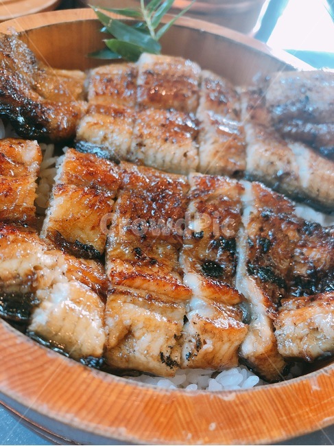 food,음식,unagi,장어,eel,우나기,장어덮밥,우나기쥬,우나기동,일본,일본음식,japan,음식,식재료,요리,food,cook,meal,dishes,food reserves