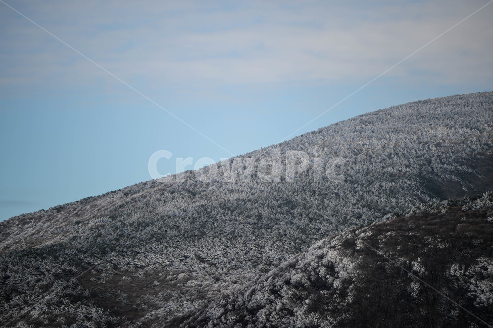 눈,제주도,제주,한라산,어승생악,겨울,계절,winter,season,자연,풍경,nature,landscape,slope,경사,outdoors,옥외