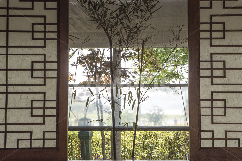 창호,창문,정원,감성,대나무,한국전통,한국문화,korean traditional,korean culture,식물,자연,plants,nature,나무,trees,wood,인테리어,실내디자인,interior design