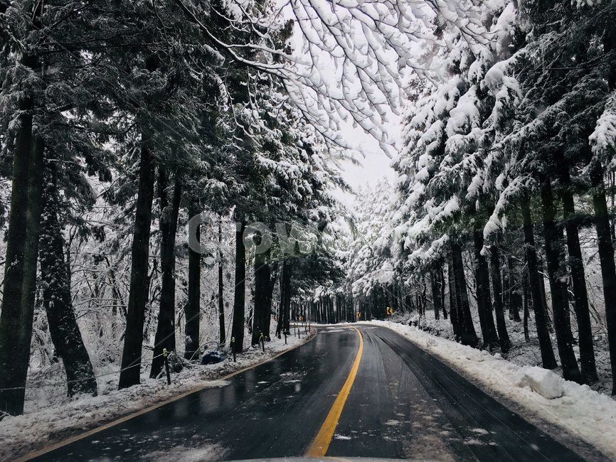 숲,도로,나무,풍경,산,운전,눈,흰눈,자연,겨울,겨울,계절,winter,season,자연,풍경,nature,landscape,road,freeway,고속 도로,highway,고속도로,asphalt,아스팔트