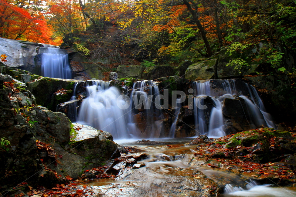 가을,방태산,폭포,2단폭포,단풍,한국자연풍경,한국자연경관,korea nature landscape,water,물,river,강,nature,자연,outdoors,옥외,waterfall