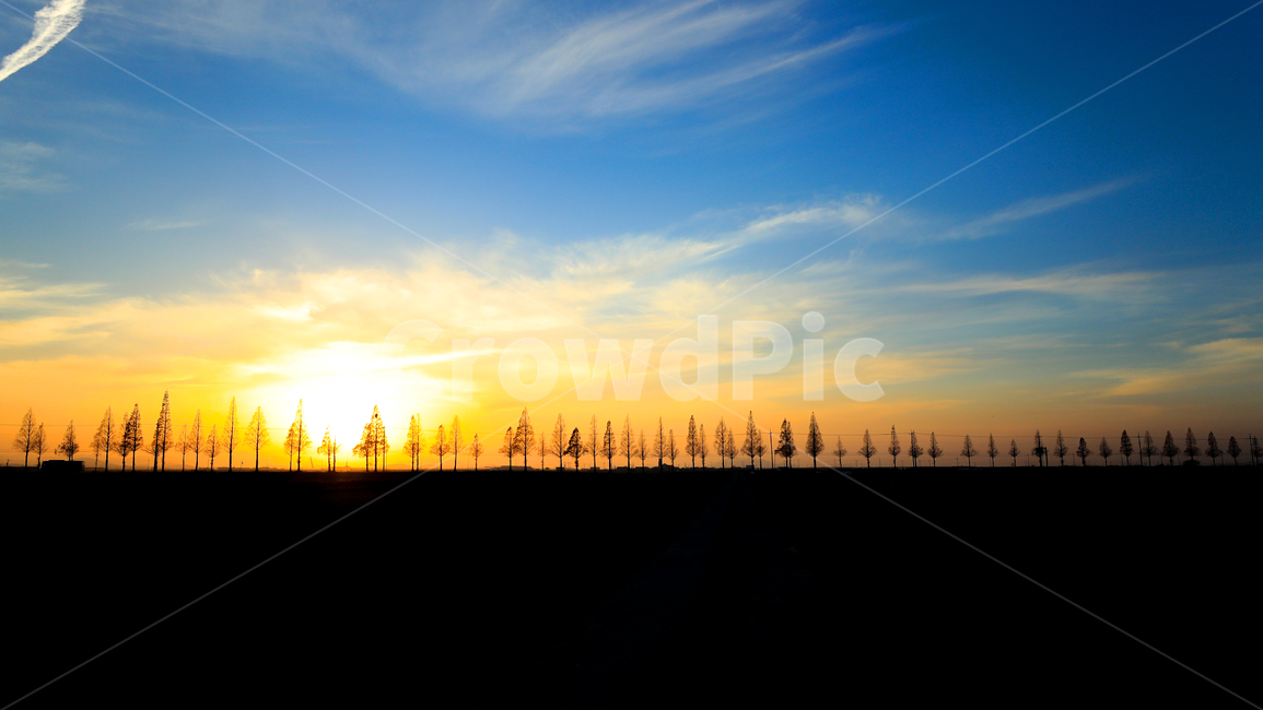 일몰,나무,들녘,저녁하늘,겨울,자연,풍경,nature,landscape,실루엣,그림자,silhouette,shadow,outdoors,옥외,sky,하늘