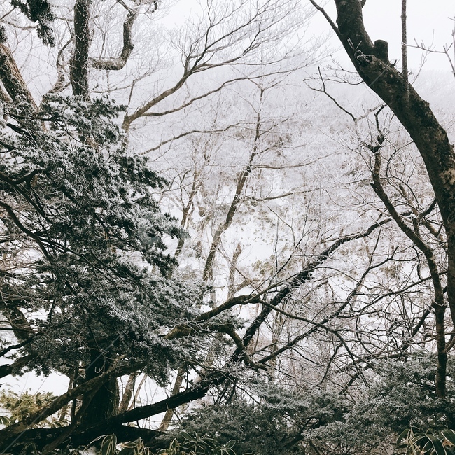 겨울,산,한라산,제주도,겨울산,winter,mountain,눈,snow,wintermountain