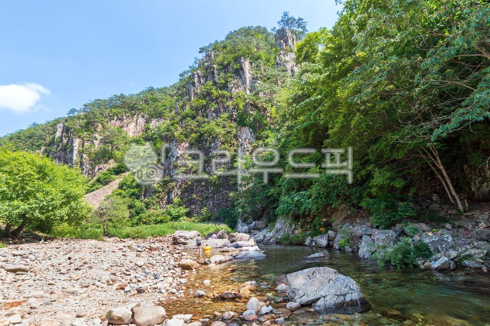 쌍곡구곡,소금강,계곡,암벽,절벽,산,나무,숲,녹색,초록색,여름,관광지,시골,자연,풍경,야외,실외,충북,충청북도,괴산군,괴산,하늘,냇가,물,자갈,강,바위,냇물,돌