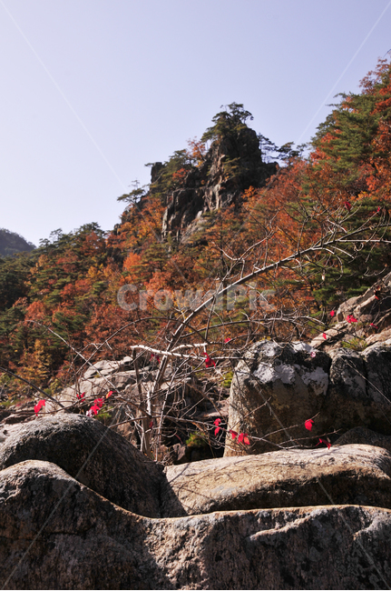 불영사,불영사계곡,가을,단풍,자연,nature,mountain,산,가을불영사,가을불영사계곡