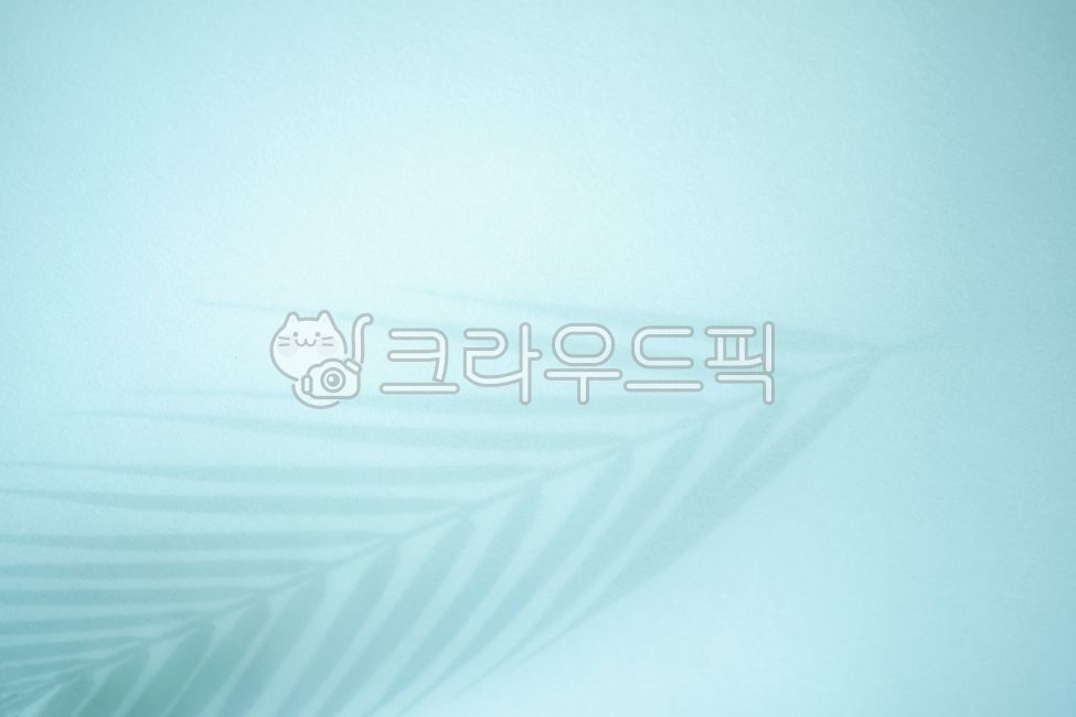 엽상체,야자수,블루,비치는,그린옐로우,삽화,햇빛,그림자,실루엣,나뭇잎,나무,여름,열대,네이처,그린,식물,백,태양,내추럴,도안,덤불,자연,수목,초록,모양,트로피컬,잎,잎사귀,무늬,열대나라,카피스페이스,모던,재질,줄무늬,추상,뾰족한,예술,아트,여백,비어있는,방사형,광고,배경,추상적인,뷰티,하늘거리는,늘어진,가벼운