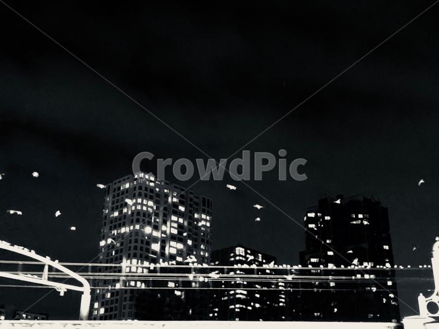 파리,야경,해외,센강,프랑스,야경,밤,풍경,nightscape,night,landscape,도시,city,해외,외국,세계,foreign,oversea,world,세계도시풍경,해외도시풍경,외국도시풍경,world cityscape,흑백,모노톤,monochrome,black and white,nature,자연,outdoors,옥외
