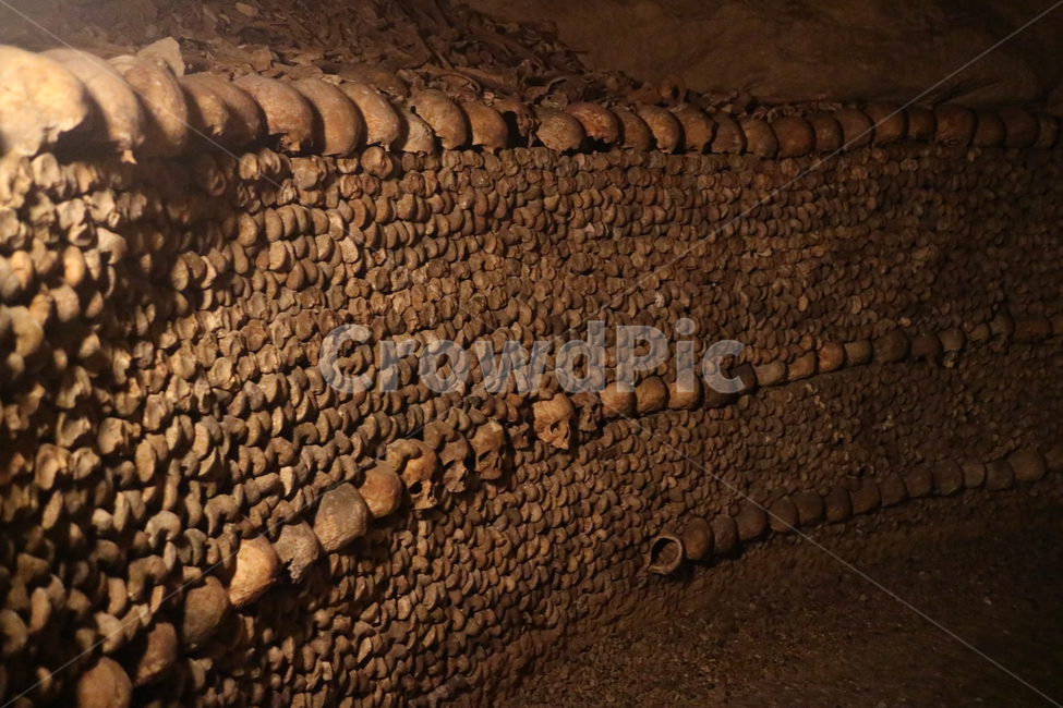 해골,카타콤,유적,지하묘지,유적지,묘지,skull,스컬,catacombs,파리,paris,공포,호러,무서운,무서움,horror,terror,fear