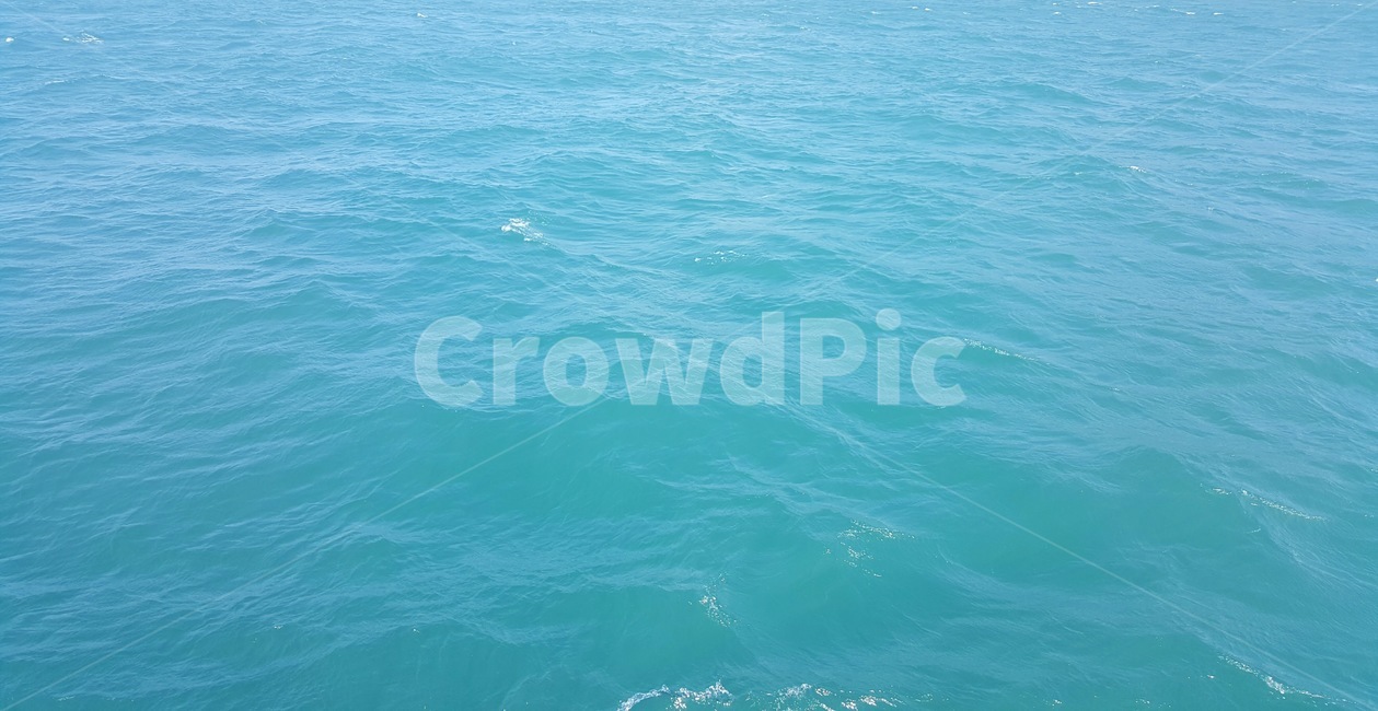 바다,물결,파도,푸른,sea