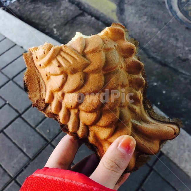 붕어빵,간식,한국음식,겨울간식,먹거리,음식,식재료,요리,food,cook,meal,dishes,food reserves,빵,bread