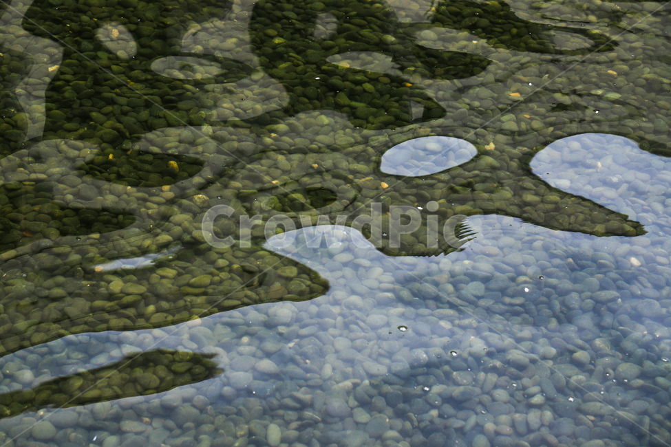 물,연못,반영,물결,자갈,추상,그림자,야외,자연,풍경,nature,landscape,animal,동물,snake,뱀,water