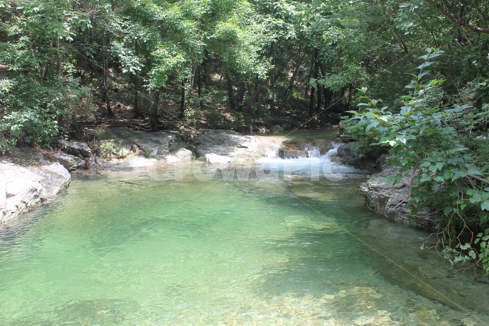 나무,자연,산,경관,식물,자연,풍경,nature,landscape,water,물,outdoors,옥외,stream,흐름,creek,작은 만