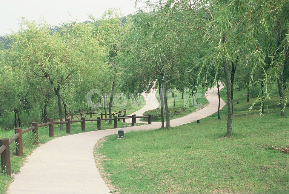 필름카메라,자연,필름,풀,감성사진,대나무,북서울꿈의숲,자연,풍경,nature,landscape,grass,잔디,plant,식물,lawn,outdoors,옥외,park,공원,path,통로