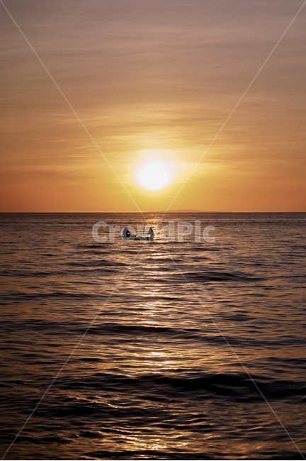nature,태양,sky,자연,하늘,outdoors,옥외,sun,실루엣,일몰,자연,풍경,nature,landscape