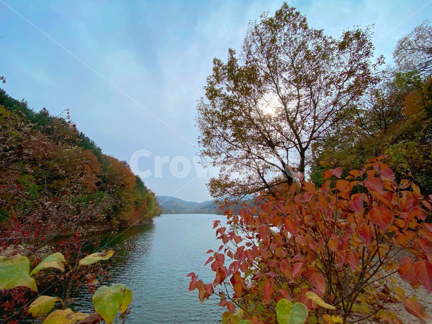 호수,자연,나무,풍경,outdoors,가을,계절,fall,autumn,season,nature,water,물,옥외