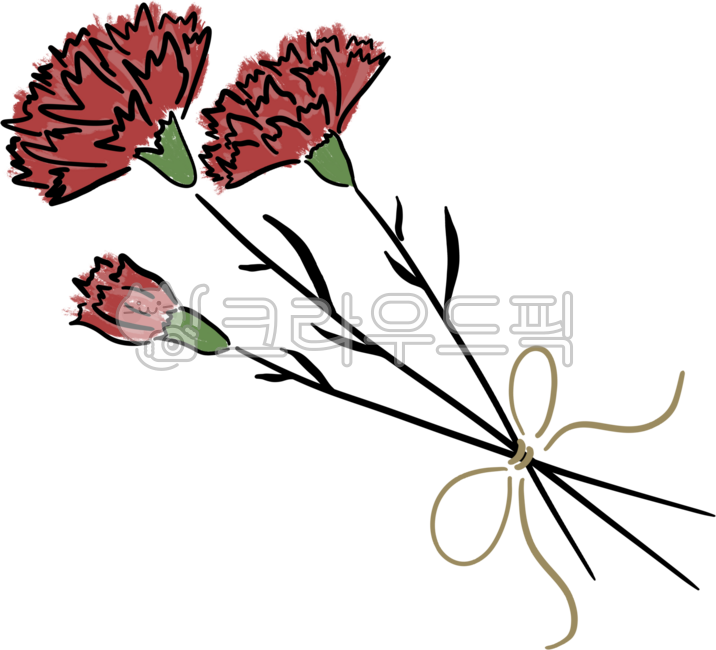 Carnation,flower bouquet,bouquet,teacher's day,parent's day,flower gift,expression of gratitude,flower illustration,flower material,red flower,ribbon wrapping,flower drawing,thank you,family love,carnation illustration,gift flower,