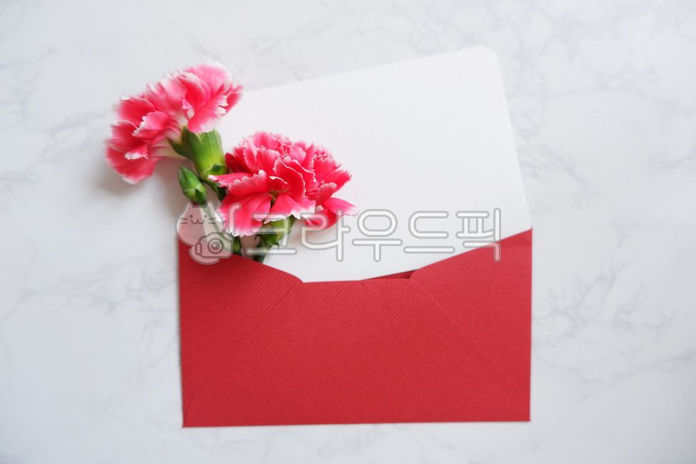 카네이션,카네이션꽃,어버이날,스승의날,가정의달,어버이날편지,어버이날카드,스승의날편지,스승의날카드,plant,식물,flower,꽃,blossom,카드,어버이날배경,스승의날배경,가정의달배경,분홍색,핑크색,빨간색,편지봉투,카네이션배경,기념일,축하,anniversary,congratulation,celebrate,celebration