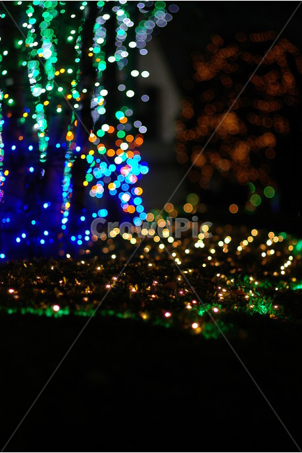 보케,boke,전구,전등,크리스마스,christmas,밤,night,나무,거리,겨울,winter,road,town,도시,city,야경,밤,풍경,nightscape,night,landscape,ornament,장식,plant,식물,tree,christmas tree,크리스마스 트리