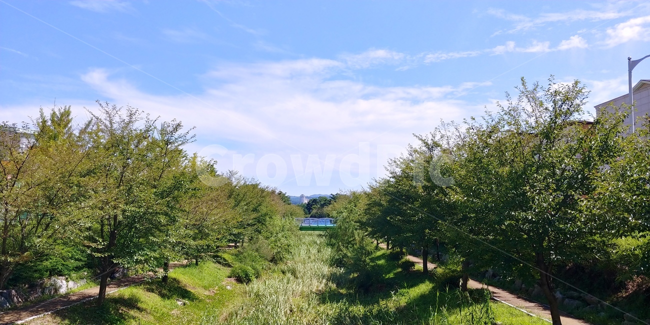 풍경,하늘,가로,나무,다리위,나무사이,자연,오송,자연,풍경,nature,landscape,tree,plant,식물,outdoors,옥외