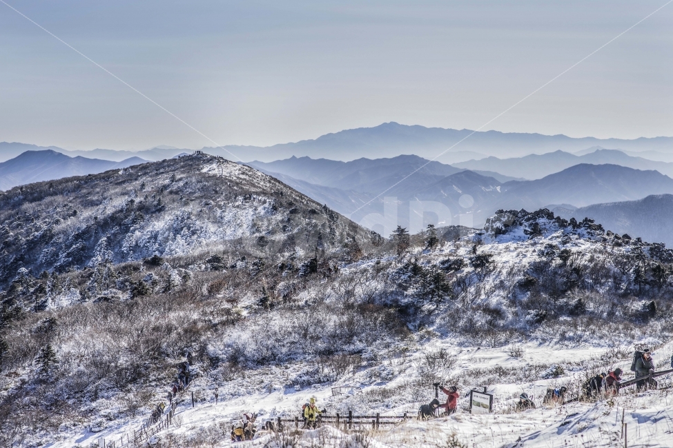 겨울,상고대,눈꽃,무주,덕유산,풍경,겨울풍경,겨울산,한국,여행,겨울,계절,winter,season,자연,풍경,nature,landscape,한국자연풍경,한국자연경관,korea nature landscape,mountain,산,outdoors,옥외,mountain range,산맥,ice,빙