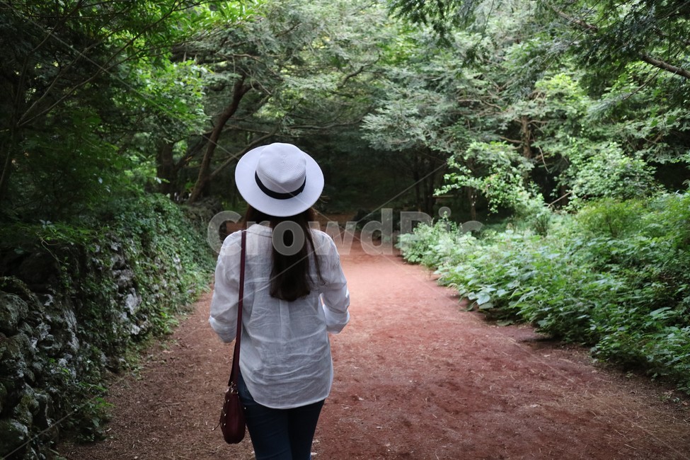 제주도,자연,숲,숲속,나무,환경,여자,뒷모습,여행,피톤치드,힐링