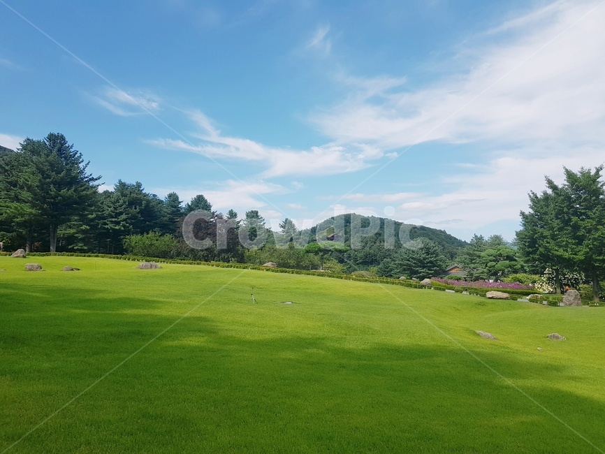 들판,벌판,잔디,수목원,목장,하늘,산,숲,나무,꽃,잔디공원,공원,청량함,시원함,맑음,날씨,경기도,강원도,서울근교,자연경관,푸른,넓은공원,식물,식목원,네덜란드,공기,호주,자연,풍경,netherlands,farm,tree,mountain,조용,arboretum,lawn,정원,허허벌판,마당,자연,풍경,nature,landscape,field,들,grass,plant,outdoors,옥외