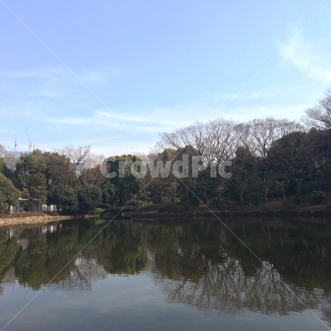 공원,나무,숲,강,하늘,일본