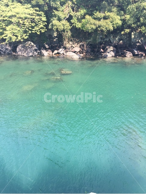 제주도,강,물,바위,돌,나무,자연,풍경,여름,청량,자연,풍경,nature,landscape,제주도,jeju,jeju island,water,outdoors,옥외,lake,호수,lagoon,라군,shoreline,해안선,land,땅