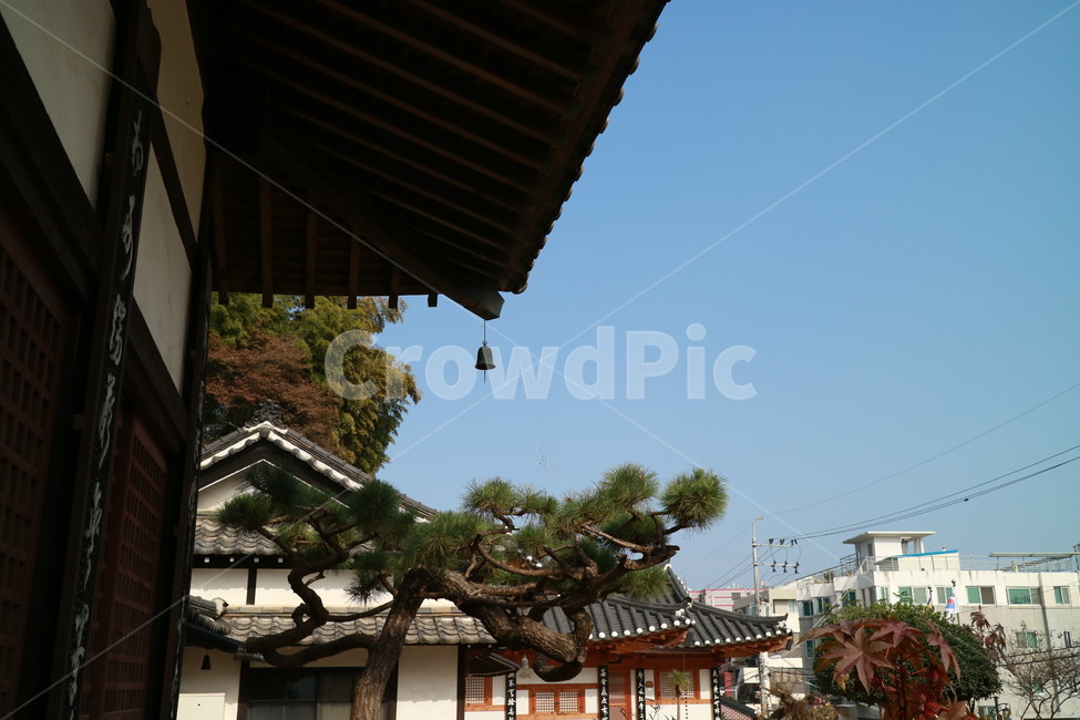사찰,풍경,한옥,목재건물,처마,전라도,군산