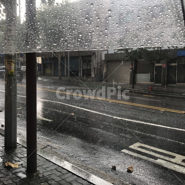 아스팔트,도로,장마,비,rain,rainy,날씨,asphalt