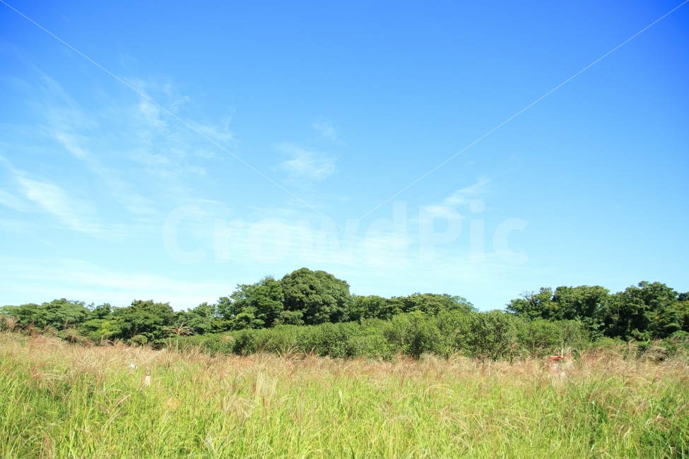 제주도,풍경사진,맑음,구름,테마파크,자연,풍경,nature,landscape,field,들,outdoors,옥외,grassland,목초지