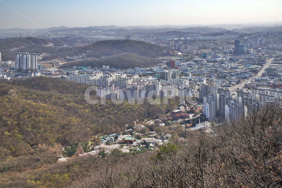 모락산,의왕시,안양시,도심풍경,경기도,도시,건물,아파트