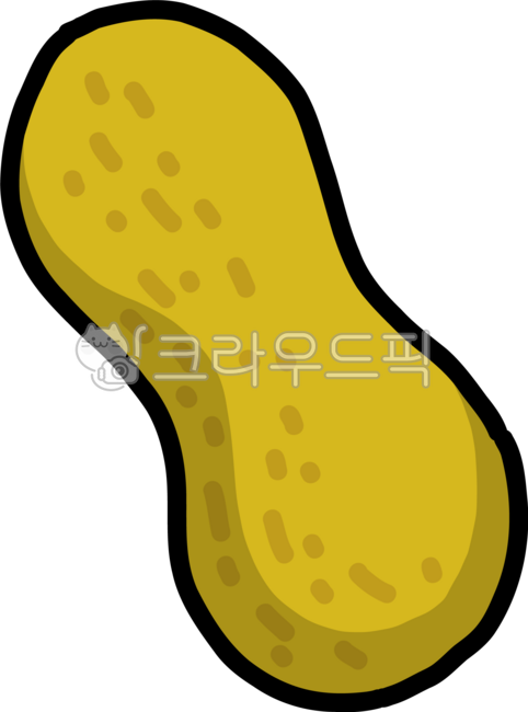 Peanuts,beans,Udo peanuts,peanut fruit,dried snacks,peanuts,Jeju peanuts,Udo specialty products,Jeju specialty products,Jeju agricultural products,fruits,plants,peanuts,nuts,nut