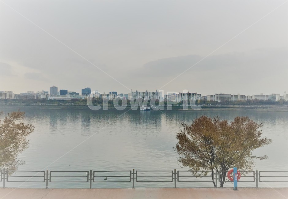 한강,가을,단풍,자전거길,산책,나무