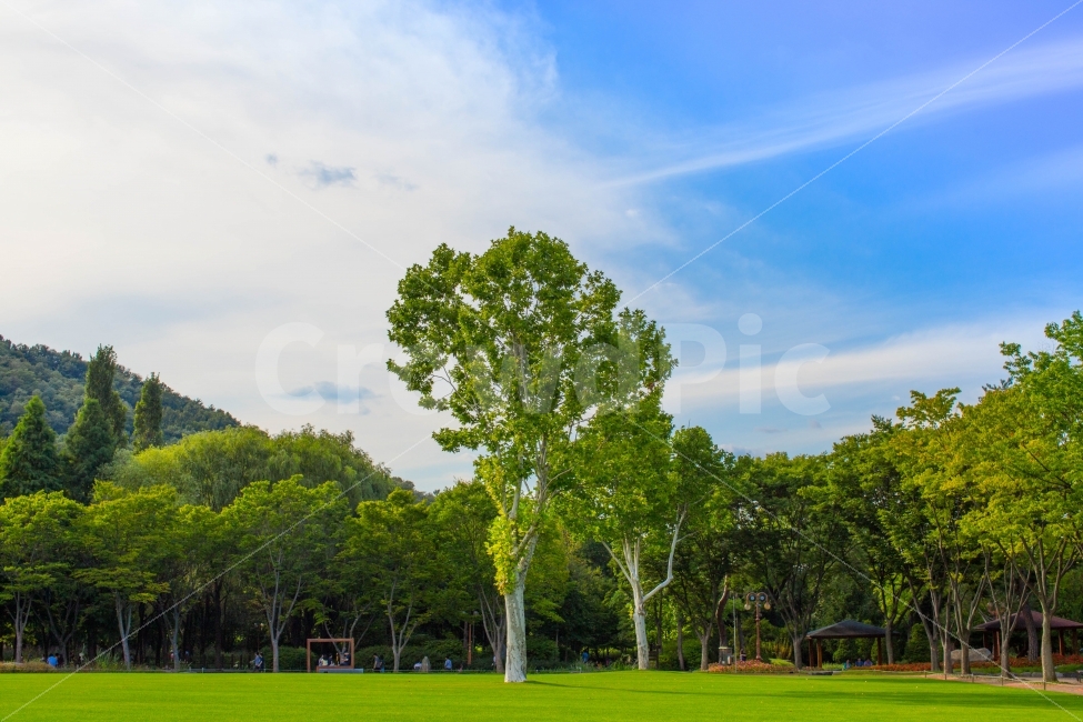수목원,대구수목원,대구풍경,나무,하늘,6D,오이만두,자연,풍경,nature,landscape,휴식,힐링,rest,relaxation,healing,plant,식물,grass,잔디,lawn