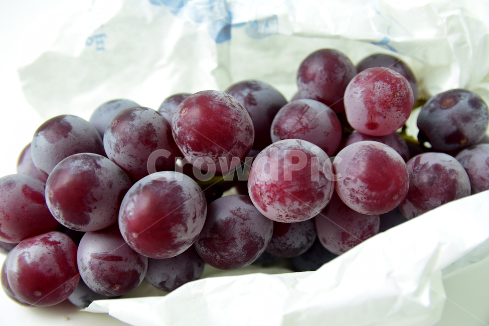 포도,거봉,거봉포도,열매,포도열매,과일,디저트,후식,grape,fruit,dessert,음식,식재료,요리,food,cook,meal,dishes,food reserves,과일,열매,fruit